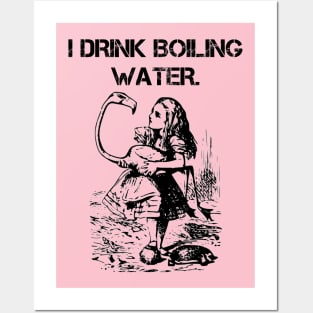 Flamingos Drink Boiling Water Posters and Art